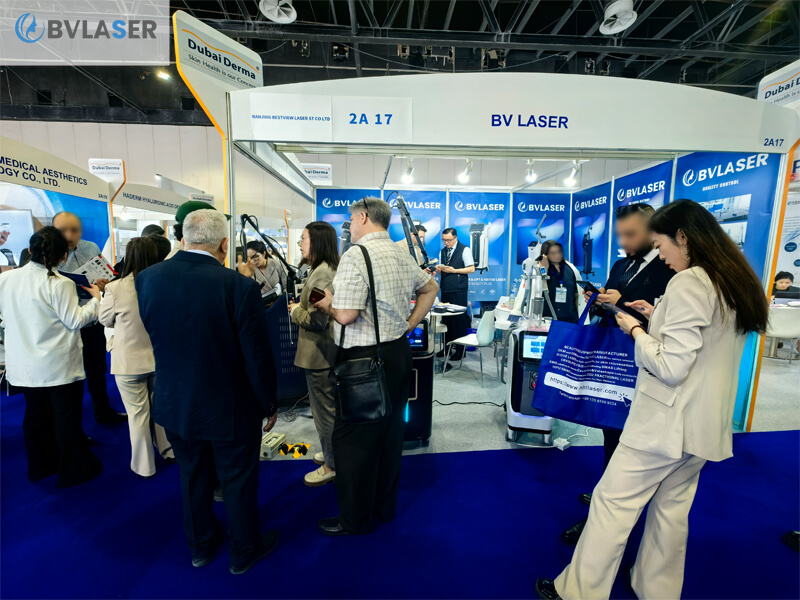 BVLASER Group